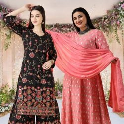 Plus Size Indian Ethnic Outfits For Parties In US